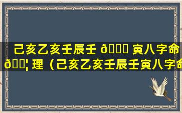 己亥乙亥壬辰壬 🐘 寅八字命 🐦 理（己亥乙亥壬辰壬寅八字命理解析）